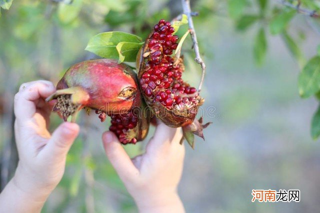 种植业什么最赚钱最有前景 目前冷门又挣钱的行业