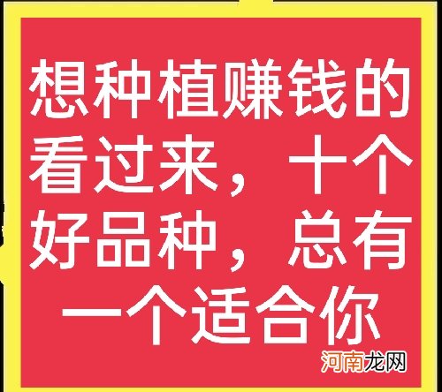 种植业什么最赚钱最有前景 目前冷门又挣钱的行业