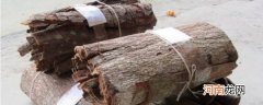安哥拉树皮有什么作用 安哥拉树皮的作用简单介绍