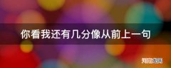 你看我还有几分像从前上一句_你看我又有几分像从前前面几句是什么