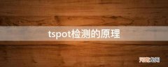 tspot检测的原理_tspot检查