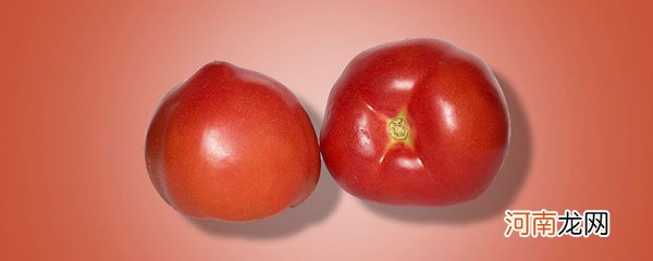 西红柿美白吗？ 西红柿为什么可以美白