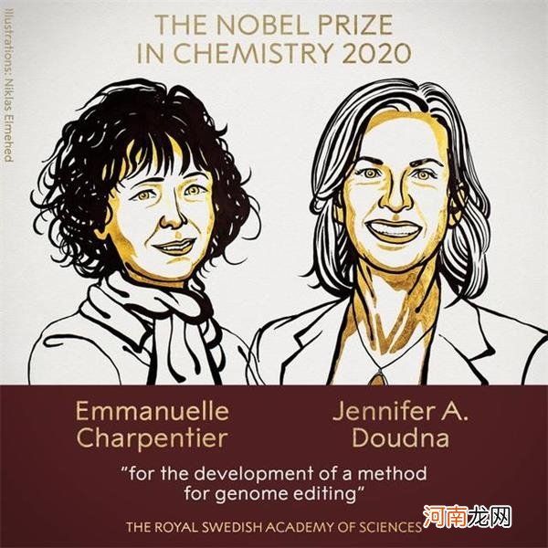 2020年诺贝尔化学奖揭晓！2位女性分享奖项