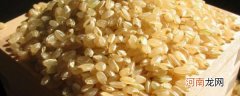 糙米泡一夜还能吃吗 泡的时间久的糙米可以吃吗