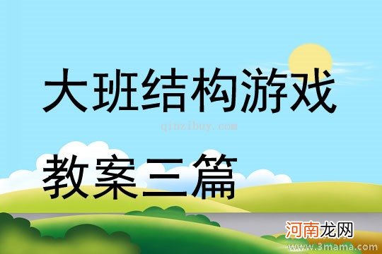 大班结构游戏游乐园教案反思