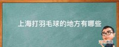 上海打羽毛球的地方有哪些_浦东打羽毛球的地方