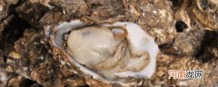 龙骨牡蛎的功效与作用 龙骨牡蛎的功效与作用是什么