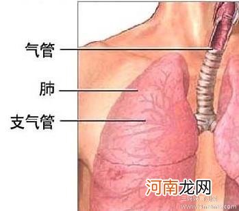 患上支气管炎后具体有哪些症状