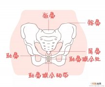 骨盆8分可以顺产吗