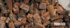 松树皮的功效与作用 松树皮的功效与作用 有哪些