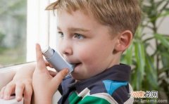 哪些因素导致小儿哮喘疾病的发生？
