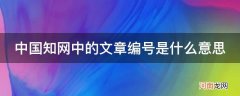 中国知网中的文章编号是什么意思_中国知网代号