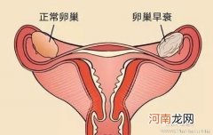 中医如何保养卵巢？