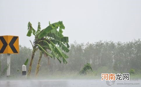 台风暴雨天气 孕妇安全注意事项