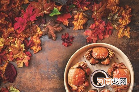 新年剪纸图案大全及方法 25种新年剪纸已整理，速收藏！