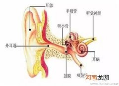 儿童更加容易患中耳炎 中耳炎怎么办