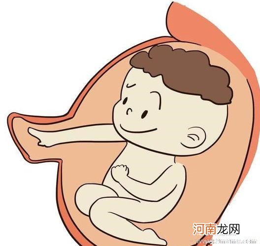 宝宝胎动什么时候开始