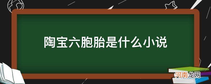 陶宝六胞胎是什么小说_陶宝六胞胎最新章节免费阅读小说