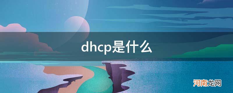 dhcp是什么_dhcp是什么意思开不开