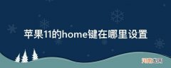 苹果11的home键在哪里设置_苹果11 home键在哪