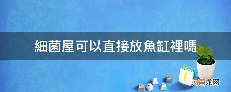 细菌屋可以直接放鱼缸里吗_细菌屋可以直接放鱼缸里吗?上滤太小