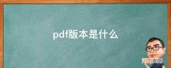 pdf版本是什么_PDF版本是什么意思