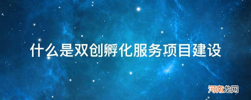 什么是双创孵化服务项目建设_{}