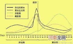 月经周期法的精确计算过程