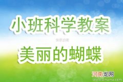 小班社会美丽的蝴蝶教案反思