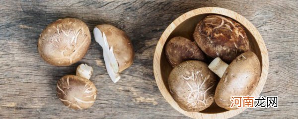 怎么保留新鲜的香菇 保留新鲜的香菇的方法