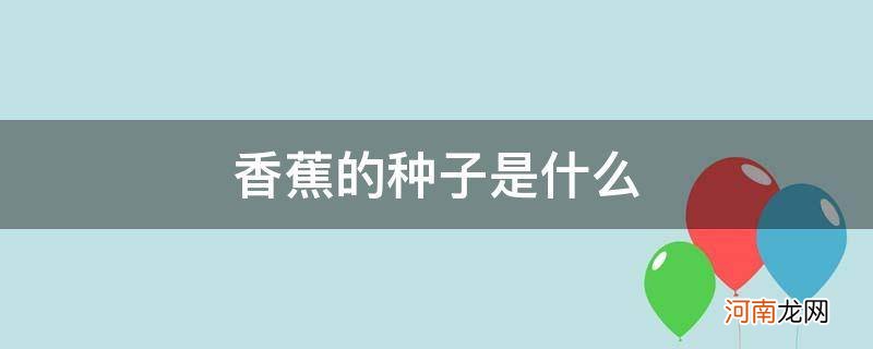 香蕉的种子是什么_香蕉的种子是什么样子的