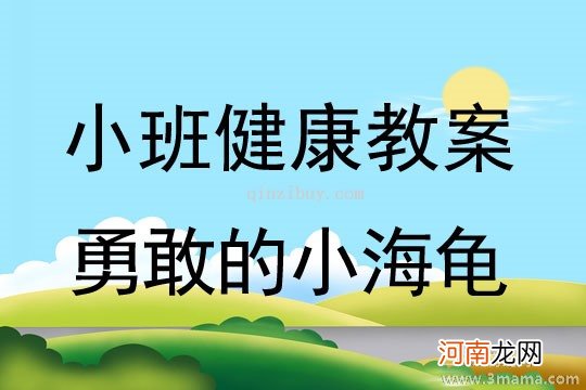 小班健康活动勇敢的小海龟教案反思