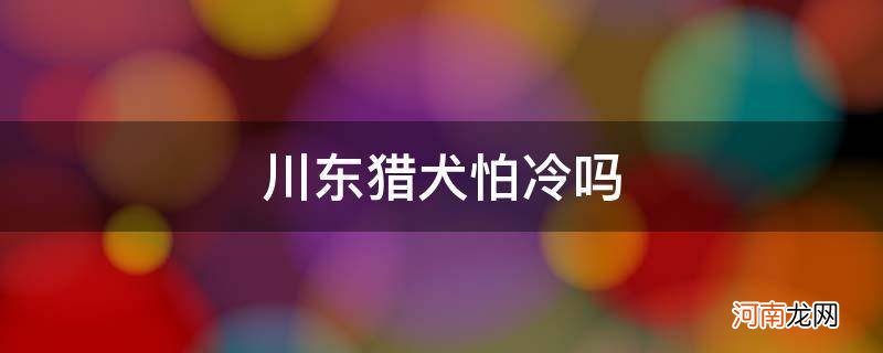 川东猎犬怕冷吗_川东猎犬冬天怕冷吗