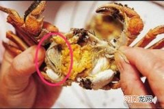 螃蟹怎么吃，哪些部位不能吃的方法与技巧
