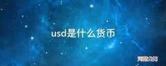 usd是什么货币_美元汇率