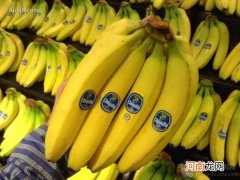 香蕉怎样存放