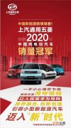 17.4万辆 五菱摘得2020中国纯电动汽车销量冠军