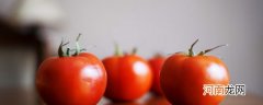 西红柿和什么蔬菜不能一起吃 西红柿不能一起吃的食物
