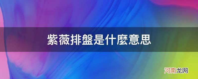 紫薇排盘是什么意思_哪个紫薇排盘准确