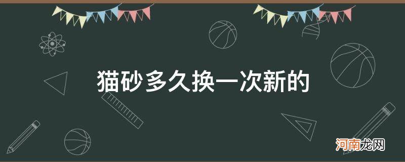 猫砂多久换一次新的_猫砂多久更换一次新的