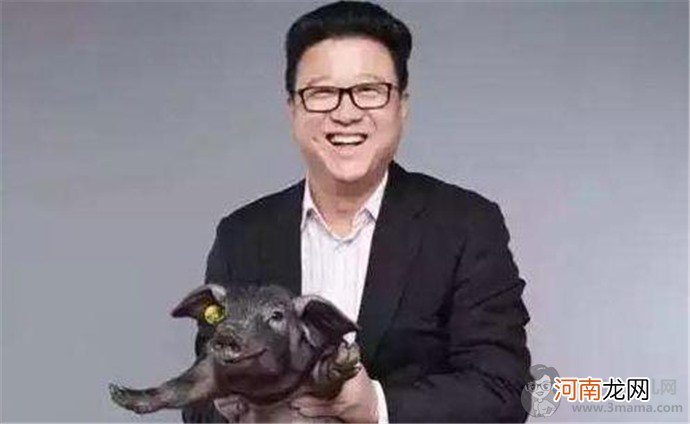 丁三石是谁什么梗 丁三石养猪是什么意思