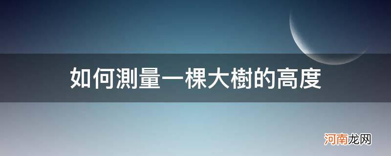 如何测量一棵大树的高度_如何测量一棵大树的高度实践