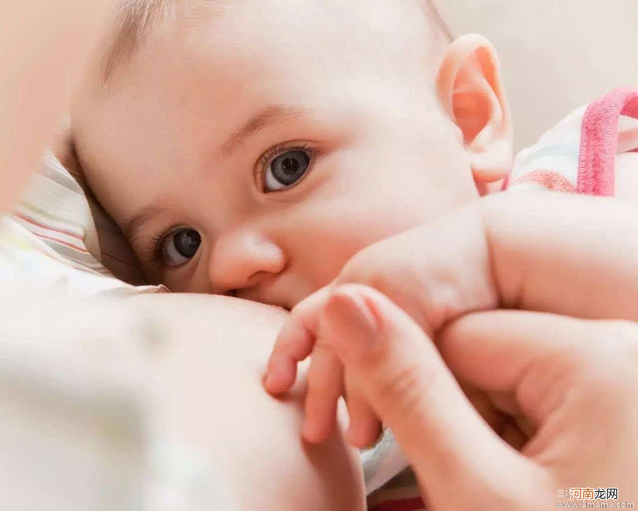 母乳可预防宝宝哮喘吗