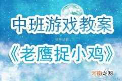 大班民间游戏老鹰捉小鸡教案反思