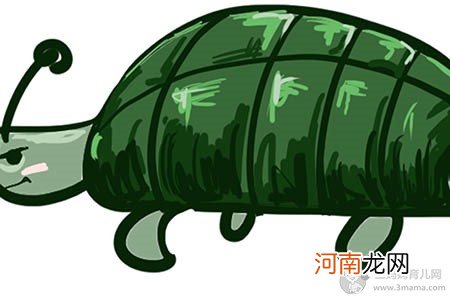 贝壳小乌龟制作方法