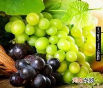 提子和葡萄有什么区别？提子和葡萄的营养价值怎么样？
