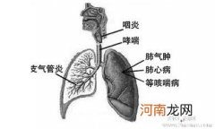 浅谈支气管炎患者的典型症状