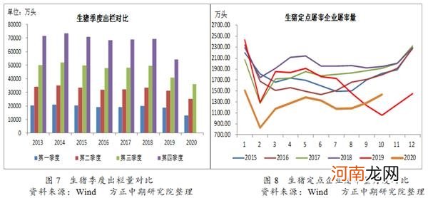 生猪期货主力合约收盘跌停