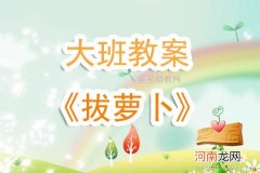 小班语言拔萝卜教案反思