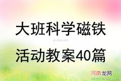 中班科学好玩的磁铁教案反思